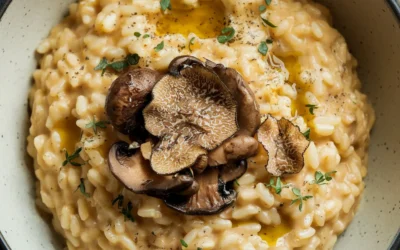 Od amuse-bouche po danie główne – wielofunkcyjny przegląd zastosowań baz Wawrzyniec PRO w nowoczesnej gastronomii 